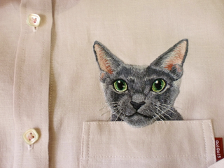 Illustration for article titled Internet Cats Make Boring Dress Shirts Better